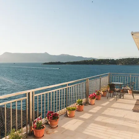 Roof Garden House Daire
