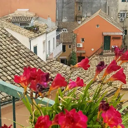 Roof Garden House *