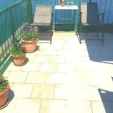 Roof Garden House *